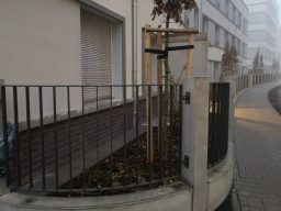 Maßgeschneidertes Außengeländer aus Stahl mit Rundung